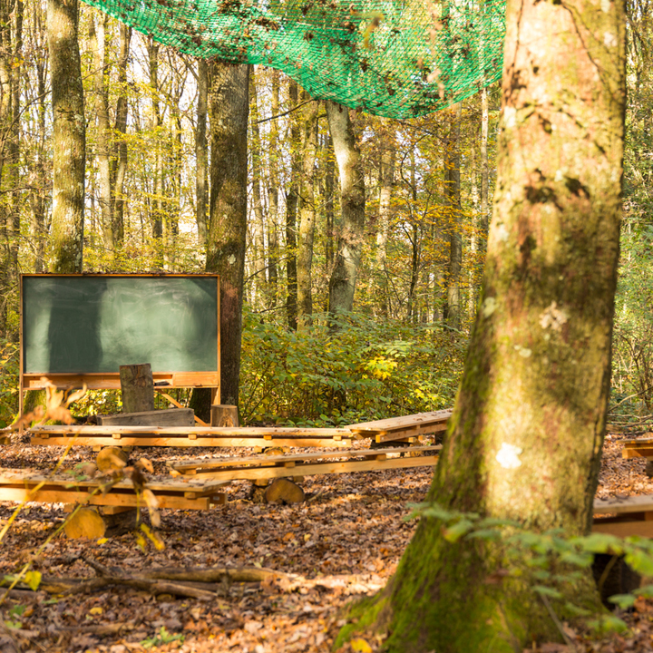 Outdoor classroom, tree, benches, chalkboard